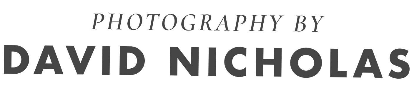 Photography By David Nicholas